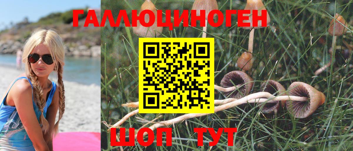 Тверь  магазин продажи   Вход с VPN  Галлюциногенные грибы MAGIC MUSHROOMS  Галлюциногенные грибы Psilocybine cubensis 
